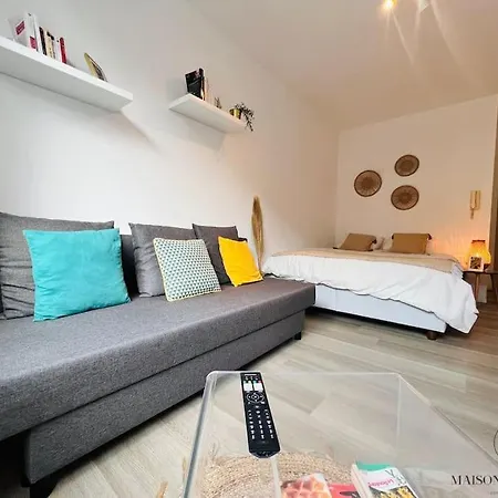 Le Wallon - Studio Douillet Fraichement Renove * לייז'