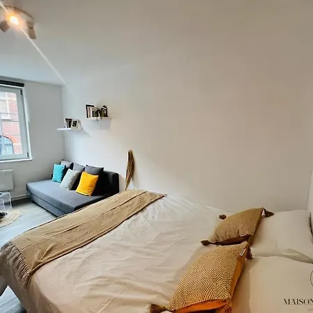 Le Wallon - Studio Douillet Fraichement Renove דירה *