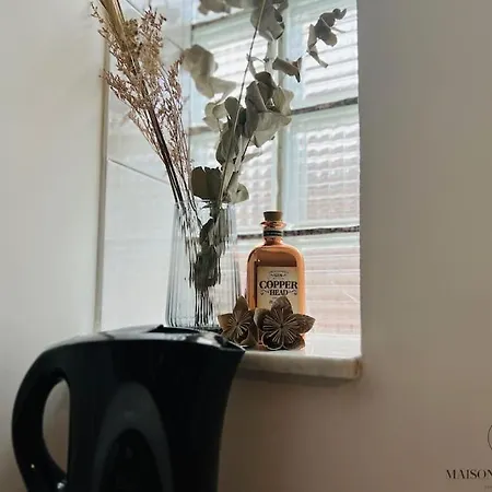 Appartamento Le Wallon - Cointe Guillemins Botanique Liegi