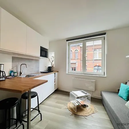 Le Wallon - Studio Douillet Fraichement Renove * לייז'
